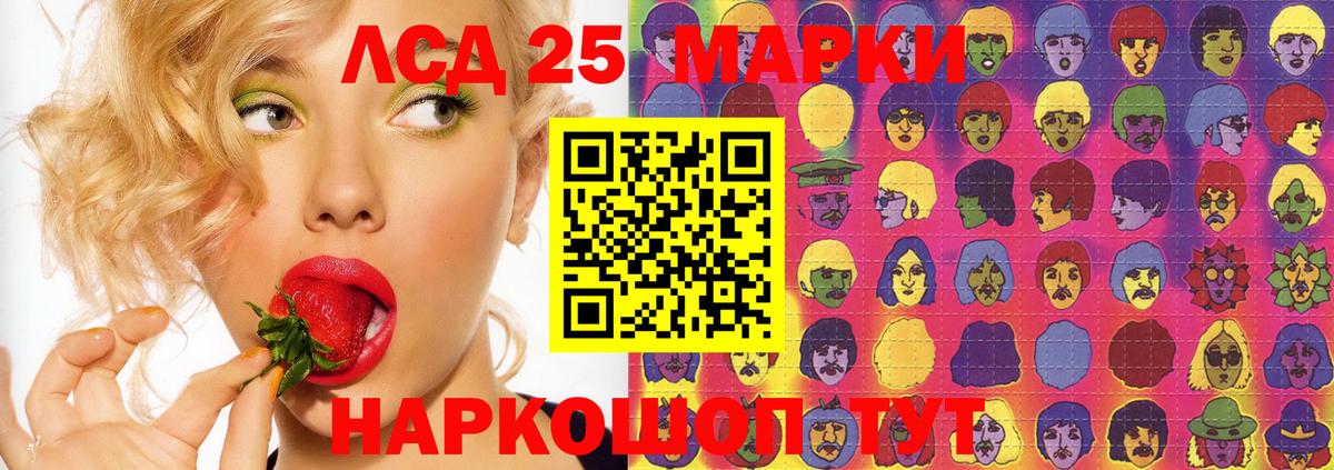 ссылка на мегу маркетплейс  Вход с VPN  Качканар  LSD-25 экстази кислота  LSD-25 экстази кислота 