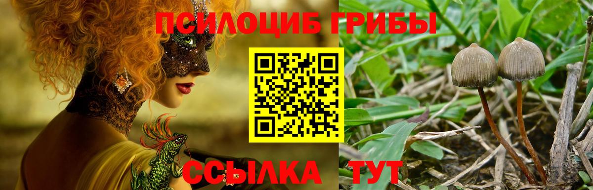 Качканар  Псилоцибиновые грибы Magic Shrooms  Вход с VPN 